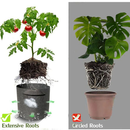 5 stuks Stoffen Plantenzakken – 1 t/m 10 Gallon (3,8–38L) Kweekzakken voor Groenten, Aardappelen, Bloemen & Bomen | Herbruikbare Kweekpotten