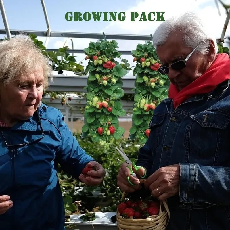 Hangende Aardbei Kweekzak – Ademende Plantenzak (1 of 3 stuks)