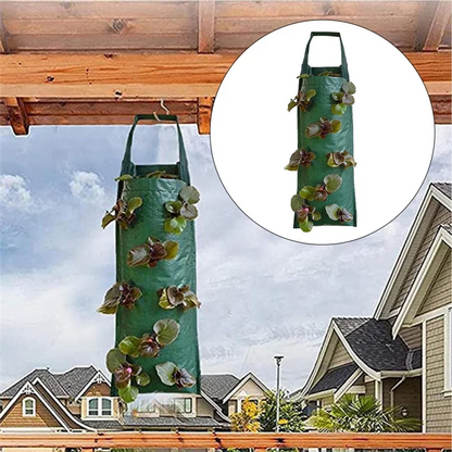 3 Stuks Ademende Hangende Kweekzakken – Plantenzakken voor Aardbeien, Bloemen, Aardappelen & Groenten | Herbruikbare Grow Bags van Non-Woven Vilt