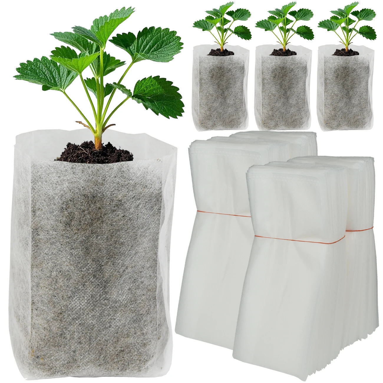 50-100 stuks Biologisch Afbreekbare Kweekzakken – Non-woven Plantenzakken voor Zaailingen, Bloemen & Groenten | Tuinaccessoires
