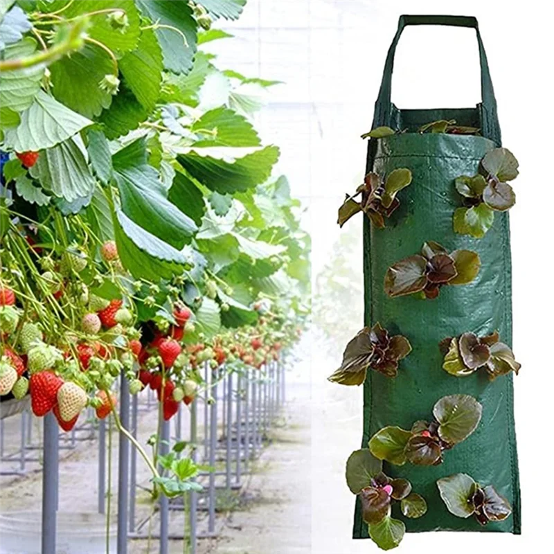 3 Stuks Ademende Hangende Kweekzakken – Plantenzakken voor Aardbeien, Bloemen, Aardappelen & Groenten | Herbruikbare Grow Bags van Non-Woven Vilt