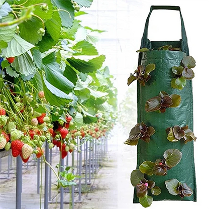 3 Stuks Ademende Hangende Kweekzakken – Plantenzakken voor Aardbeien, Bloemen, Aardappelen & Groenten | Herbruikbare Grow Bags van Non-Woven Vilt