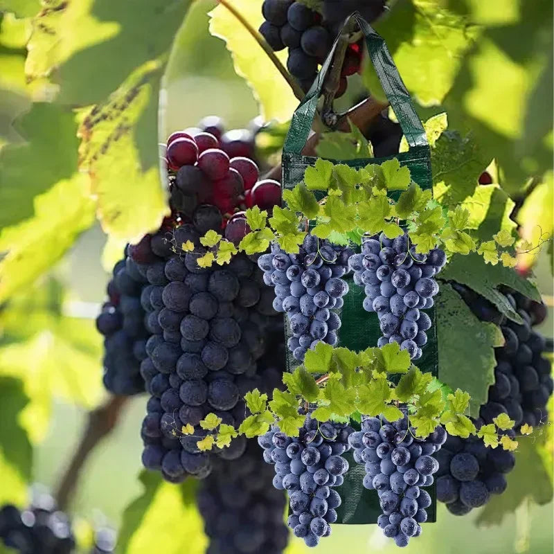 Hangende Aardbei Kweekzak – Ademende Plantenzak (1 of 3 stuks)