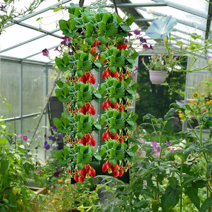 Hangende Aardbeien Plantenzak – Multifunctionele Kweekzak voor Groenten, Bloemen & Kruiden | Verticale Grow Bag voor Balkon & Tuin