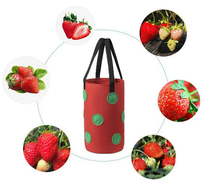 Hangende Plantenzak met 13 Vakken – Multifunctionele Vilten Kweekzak voor Tomaten, Aardbeien, Groenten & Bloemen | Verticale Tuin