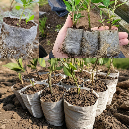 50-100 stuks Biologisch Afbreekbare Kweekzakken – Non-woven Plantenzakken voor Zaailingen, Bloemen & Groenten | Tuinaccessoires