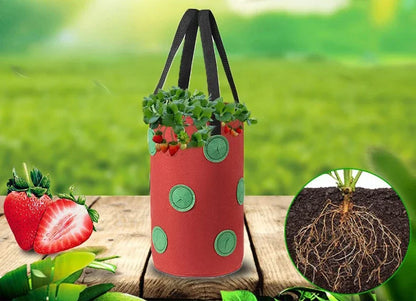 Hangende Plantenzak met 13 Vakken – Multifunctionele Vilten Kweekzak voor Tomaten, Aardbeien, Groenten & Bloemen | Verticale Tuin