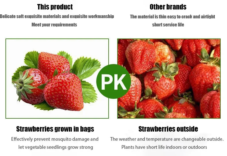 Hangende Plantenzak met 13 Vakken – Multifunctionele Vilten Kweekzak voor Tomaten, Aardbeien, Groenten & Bloemen | Verticale Tuin