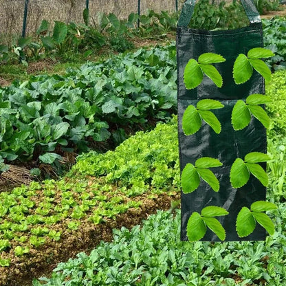 Hangende Aardbei Kweekzak – Ademende Plantenzak (1 of 3 stuks)